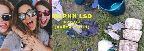 PSILOCYBIN Белокуриха