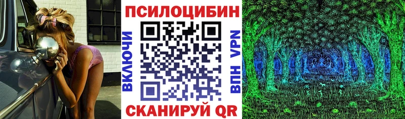 магазин    Бирюч  Галлюциногенные грибы Psilocybine cubensis 